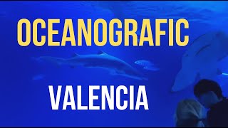 Oceanografic Valencia 4K  2024 [upl. by Atiloj836]