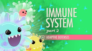 Immune System Part 2 Crash Course Anatomy amp Physiology 46 [upl. by Derk607]