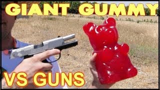 5lb GUMMY Bear  We discover it is bullet proof [upl. by Pooi]