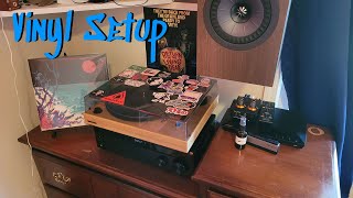 My VinylAudio Setup  Record Collection Update [upl. by Ocram151]