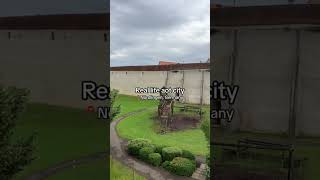 anime attackontitan aot snk germany summer vacation erenyeager viralvideo levi fyp [upl. by Drugge]