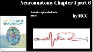 Neuroanatomy Chapter 4 part 6Anterior Spinothalamic TractCrude touch pathwayspinal lemniscus [upl. by Annodal]