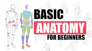 The First EASY Step To Draw Bodies For Beginners [upl. by Demetra]