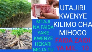 PATA ZAIDI YA MIL 10 KWENYE KILIMO CHA MIHOGO [upl. by Server988]