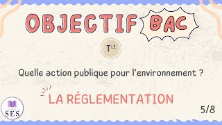 BAC Cours Environnement  La réglementation [upl. by Marcella53]