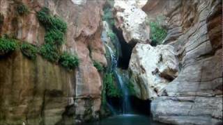 Hanging rain gardens in the Grand Canyon Elves Chasm [upl. by Barbur]