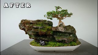 Process Of Making Coral Rock For Bonsai Planting  Bonsai Edit [upl. by Ragse]