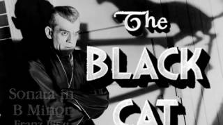 THE BLACK CAT Musical Selections [upl. by Enila]