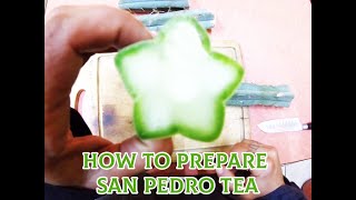 How to Prepare SanPedro tea [upl. by Ydennek]