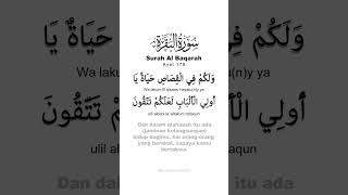 Surah Al Baqarah Ayat 179  Al Quran Terjemahan Dan Tafsir [upl. by Naitsabas]