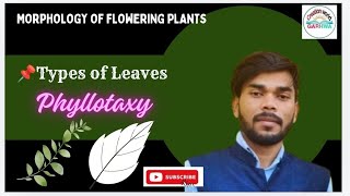 Type of leaves  Phyllotaxy 🌿  Morphology of the flowering plants ☘️ biology science neet jac [upl. by Nerin]