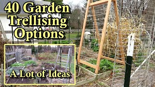 40 Garden Trellising Examples for Growing Vegetables Vertically All DIY Budget Friendly Options [upl. by Knepper]