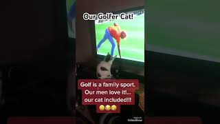 Our Golfer Cat identifies w our family sport pets catlifeishard funny [upl. by Yoc344]