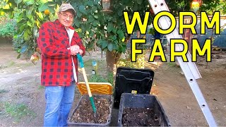 How To Make A Worm Farm At Home  DIY Compost Bin [upl. by Anilatac]