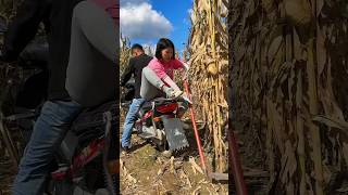 Super Fast Tool for Rural Farmer  Corn Farming 😱😱🌽🌽 shorts tools youtubeshorts farming [upl. by Judenberg]