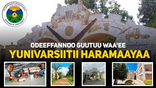 Odeeffannoo Guutuu Waaee Yunivarsiitii Haramaayaa freshman haramayauniversity [upl. by Houlberg]