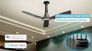 Look Up to Havells  Inox BLDC Fan [upl. by Rollo362]