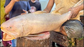 Giant Indian Salmon Fish Cutting Live  Amazing Salmon Fish Cutting Skills In Fish Market [upl. by Hgielac]