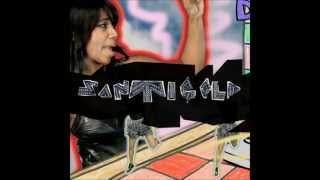 Santigold  Disparate Youth 2 Bears Remix [upl. by Ahsienek]