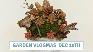 Succulent Moss Ball  Vlogmas 2023 Cottoverdi [upl. by Aloek]