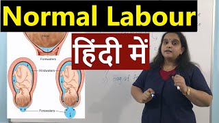 Normal Labour in Hindi हिंदी  Eutocia amp Dystocia  True Labour Pain amp False Labour Pain [upl. by Ardekahs964]