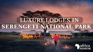 Top 5 Luxury Lodges in Serengeti National Park  Tanzania Safari  Africa Incoming [upl. by Uri539]