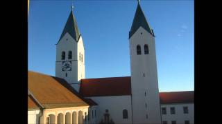 Freising Dom St Maria und Korbinian altes Plenum [upl. by Latricia]