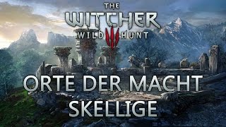 Witcher 3 Guide Orte der Macht  Skellige [upl. by Kohcztiy]