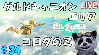 【ゼルダの伝説totk】３４ コログのミ１０００コ集める。 のんびり実況 ～ゲルドキャニオン鳥望台エリア～ [upl. by Hughes]