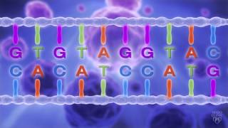 What is Genomic Sequencing [upl. by Oiralih451]