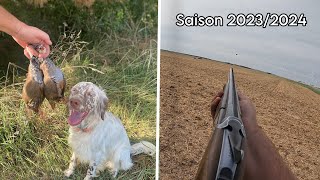 Ouverture chasse petit gibier au chien darrêt  Saison 20232024 [upl. by Sofko749]