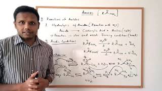 Amides  Preparation and Reactions [upl. by Nary]