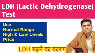 Whai is LDH Test in Hindi  Lactic Dehydrogenase Test Normal Range [upl. by Nanyt]