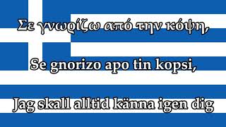 Svensk text  Ύμνος εις την Ελευθερίαν  Greklands Nationalsång [upl. by Merrick]