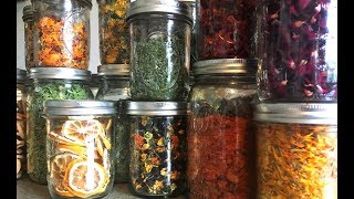 Why I Dehydrate for Food Preservation [upl. by Eilata614]