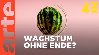 Brauchen wir Wirtschaftswachstum  42  Die Antwort auf fast alles  ARTE [upl. by Geehan]