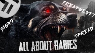 Rabies in animals  Spread signs and treatment [upl. by Yralih]