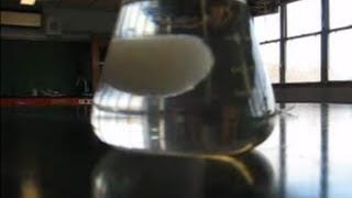 Rapid Crystallization Supersaturated Solution Demo [upl. by Aneleasor]