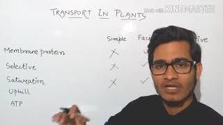 Comparison between simple  facilitated diffusion and active transport [upl. by Viquelia]