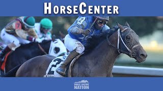 Preakness Stakes and BlackEyed Susan top picks on HorseCenter [upl. by Eeladnerb]