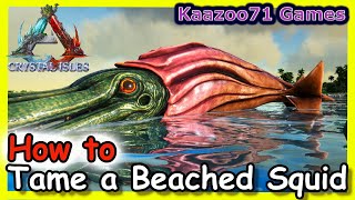 How to Tame a Beached Squid in Ark 💥 [upl. by Azmuh]