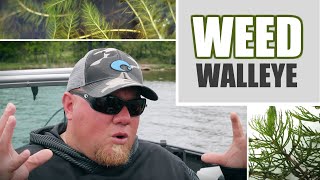 Weed Walleye Fishing Tips amp Tactics [upl. by Eissalc317]