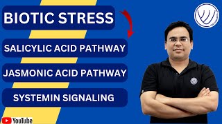 SALICYLIC ACID PATHWAY  JASMONIC ACID PATHWAY  SYSTEMIN SIGNALING  CSIR NET LIFE SCIENCE  GATE [upl. by Ahsauqram]