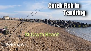 Catch Fish in Tendring STOSYTH  Hutley’s Beach [upl. by Ydne595]