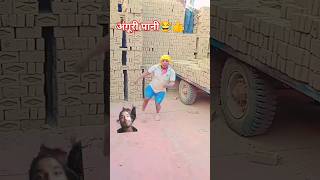 अंगूरी पानी chuski chuski chuski comedy viralvideo hkrchannelc5i shorts [upl. by Buonomo]