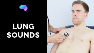 Lung sounds respiratory auscultation sounds  UKMLA  CPSA [upl. by Bradney]