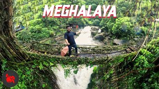 MEGHALAYA TRAVEL VLOG wettest place on Earth 🤯  Living Root Bridge Cherrapunji Mawlynnong [upl. by Jallier]