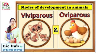 Viviparous Vs Oviparous Animals [upl. by Beeson]