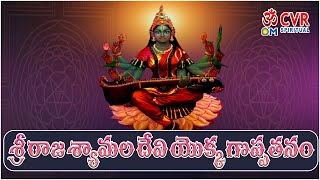 శ్రీ రాజ శ్యామల దేవి యొక్క గొప్పతనం  Sri Raja Shyamala Devi  Om CVR Special [upl. by Adi]