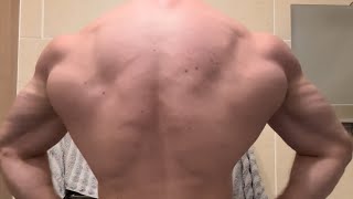 Updated Lat spread Bodybuilding style sub par lighting Post workout I’m Still small [upl. by Ailad]